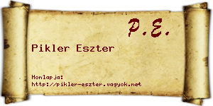 Pikler Eszter névjegykártya